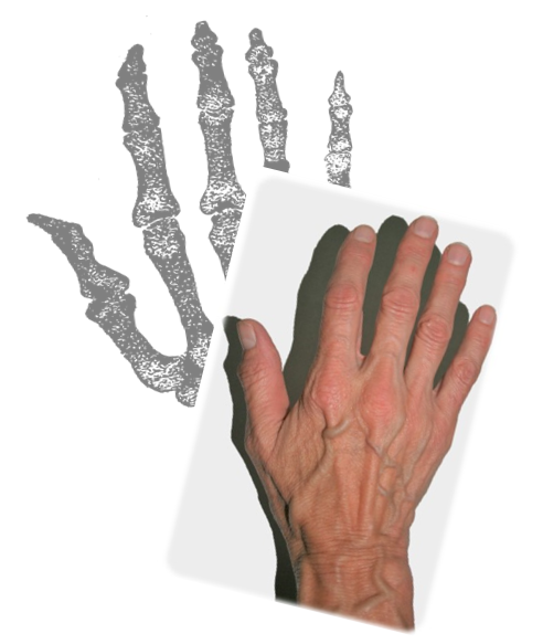 hand n bones 1