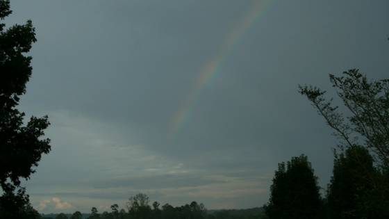 rainbow summer shower