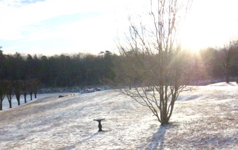 Snowy morning_cropped