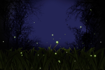 firefly_free dig photos_ID-10038834