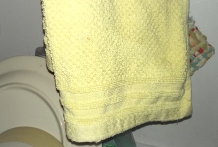 dishcloth_edited