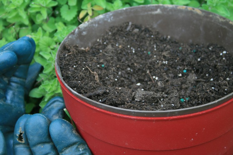 pot of dirt soil gloves_ca