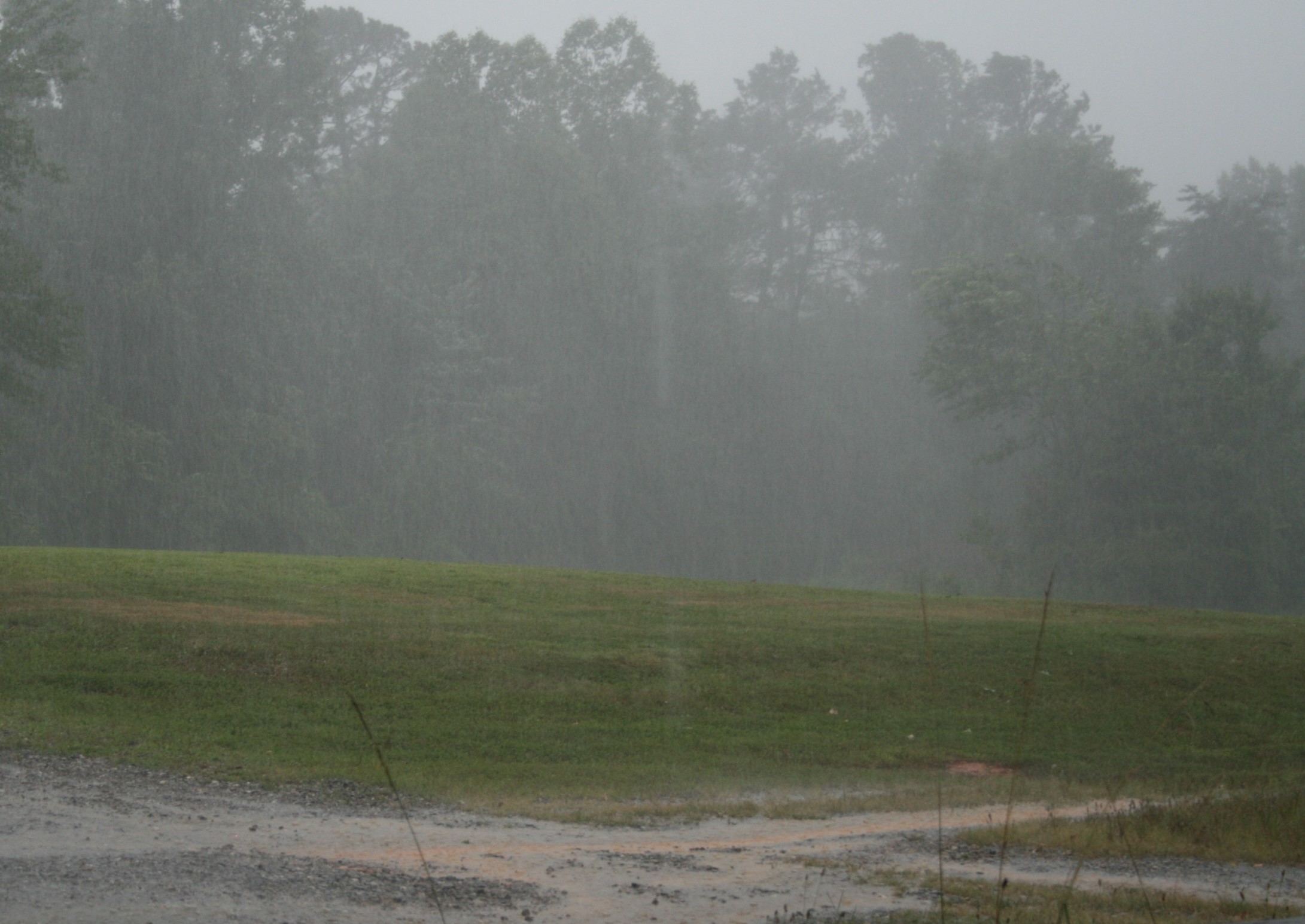 rain on dirt drive_IMG_4663 (2)