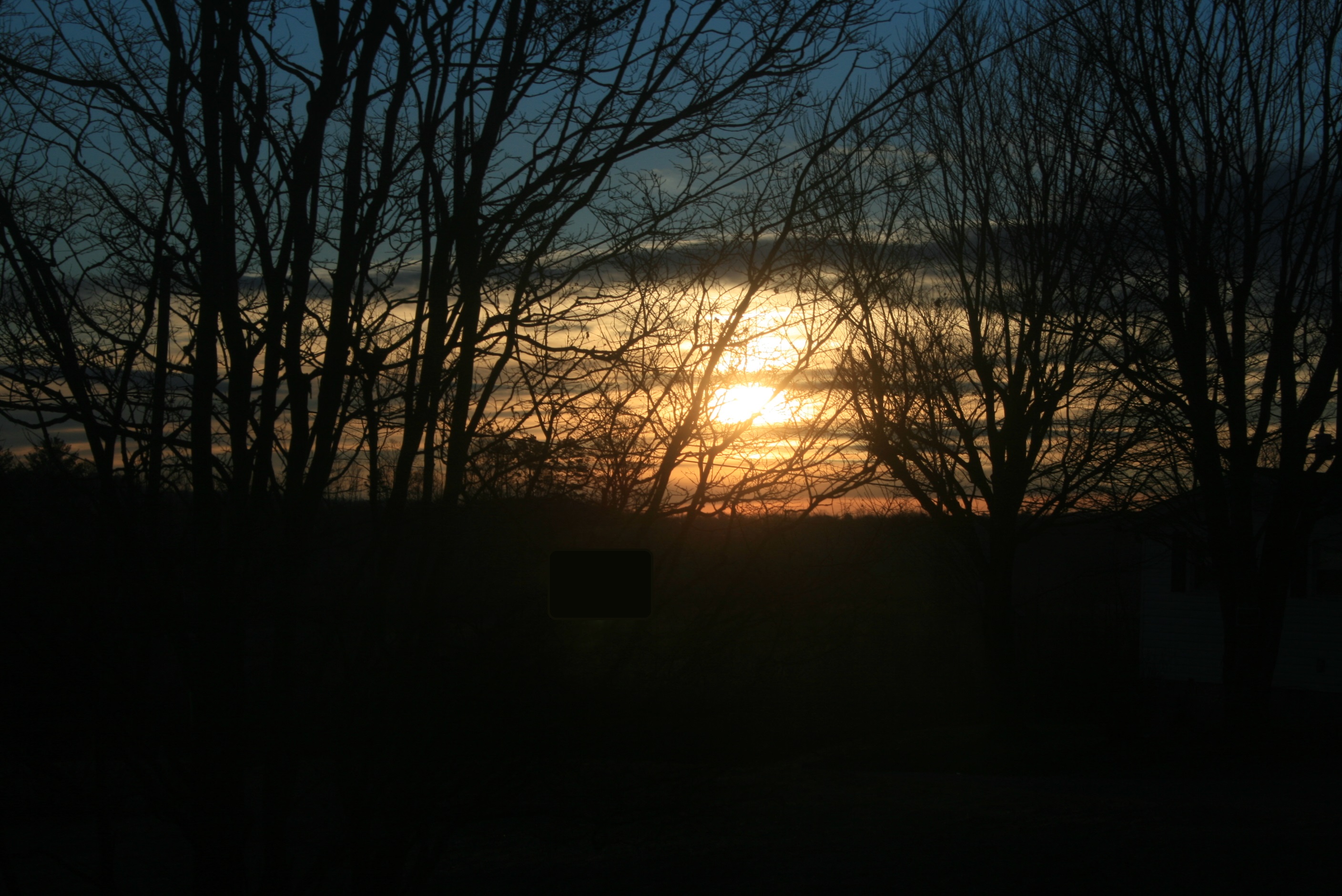 sunrise and dark trees ground_spot edited out