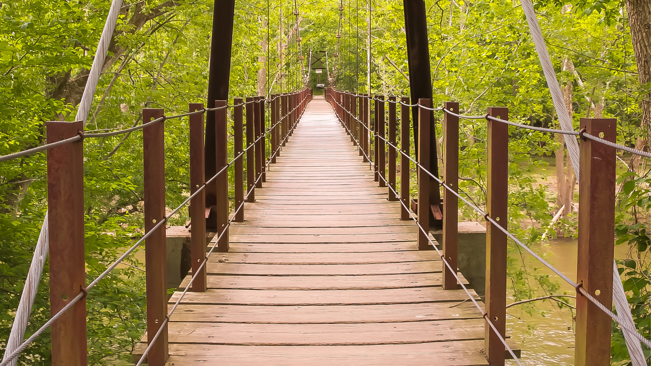 wooden bridge in woods_pexels_cropped